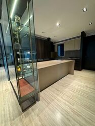 TwentyOne Angullia Park (D9), Condominium #527989441
